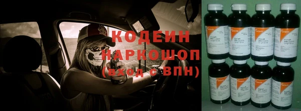 хмурый Алексин