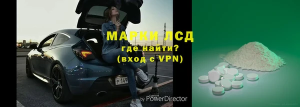 хмурый Алексин