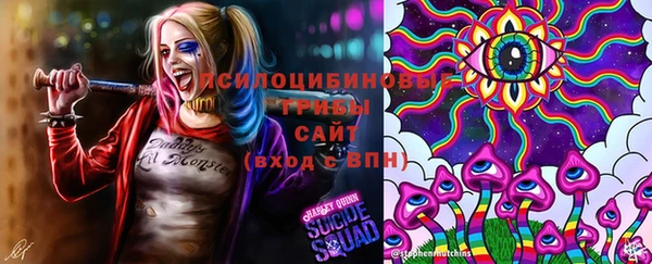 гашик Абаза