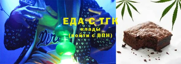 хмурый Алексин