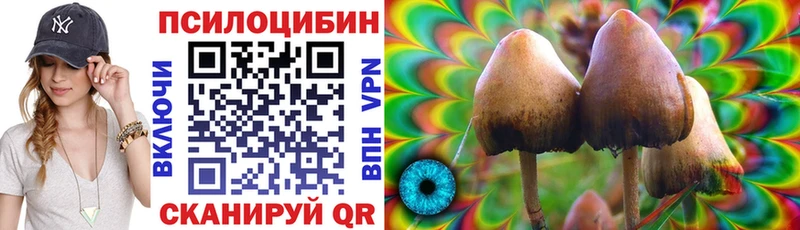 Псилоцибиновые грибы GOLDEN TEACHER Саранск