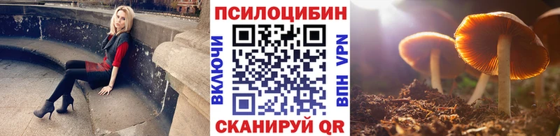 Галлюциногенные грибы Psilocybe  даркнет сайт  Саранск 